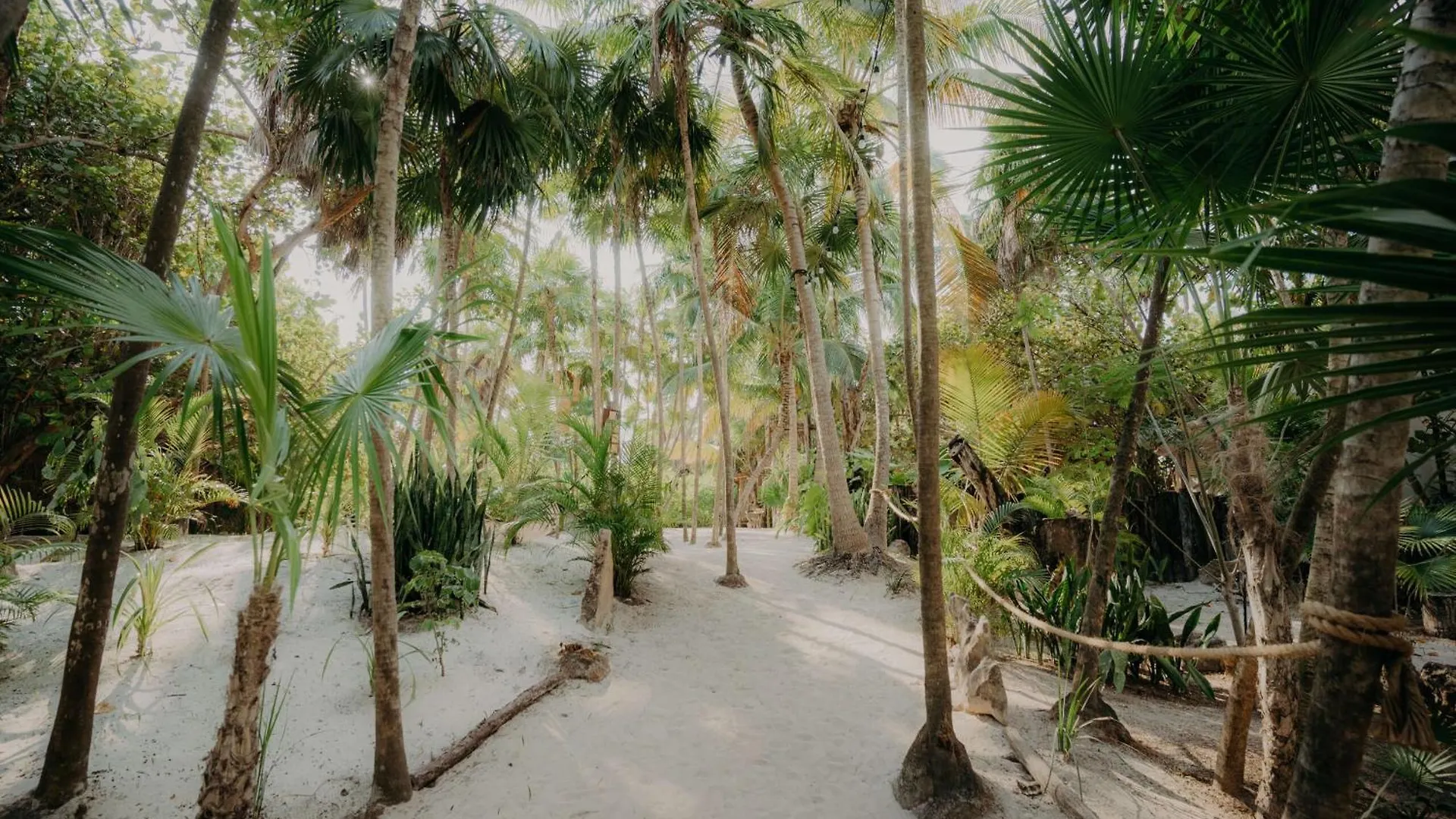 Boutique Bohemian Condo With Private Pool Tulum 0*,